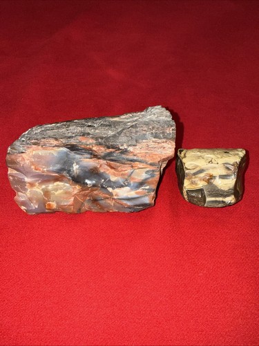 2.1 lb Natural Arizona Rainbow Petrified Wood w/ Bonus Veitnam Petrified Wood