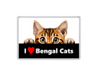 I Love Bengal Cats - Fridge Magnet - Large - Pet Cat Animals Gift Present
