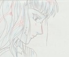 The Twelve Kingdoms Juuni Kokki Genga Douga Original Sketches Pierrot - Youko — photo 8