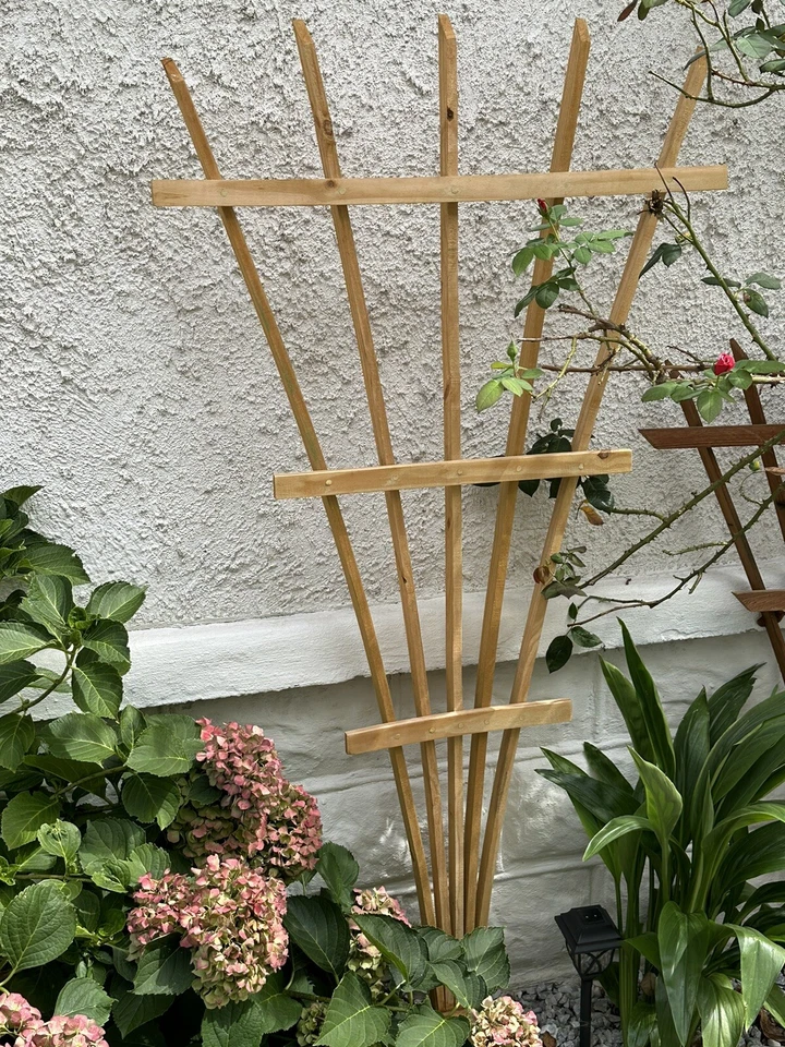 Enrejado de madera tratado a presión. De pie 5 pies de alto. Diferentes estilos... Foto 2 de 4