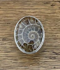 Large Ammonite Ring Sterling