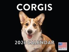 Corgi Calendar 2026 Pembroke Cardigan Welsh Monthly Wall Calender 12 Month