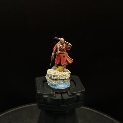 Pro Painted Warhammer Lotr Corsair Captain Delgamar Mesbg Games Workshop - Picture 3 of 4