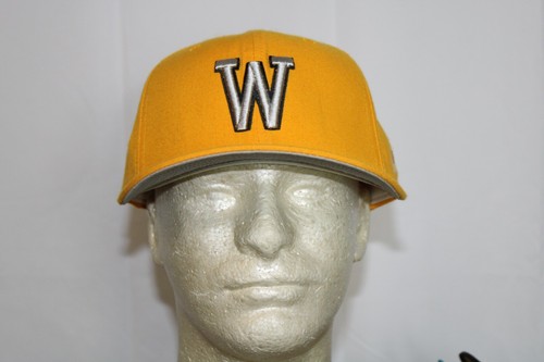 New Era Washington State Huskies 