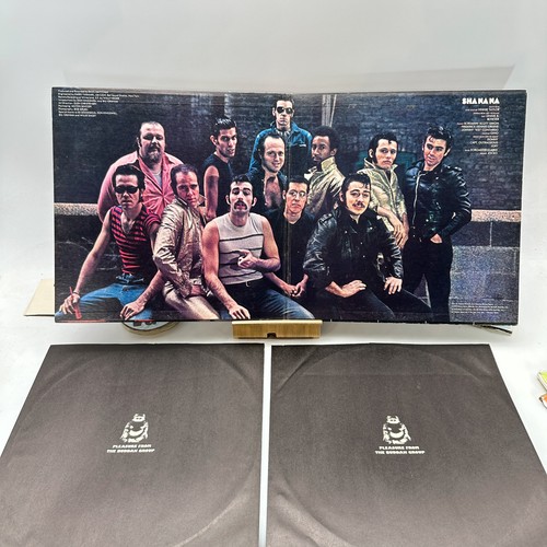 Sha Na Na- The Golden Age Of Rock 'n' Roll VG+/VG+ Ultrasonic Clean 1973 - Imagen 4 de 4