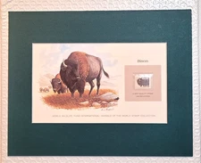 BISON (AMERICAN BUFFALO) - SOUVENIR CARD - FRAMEABLE STAMP ART - 1603