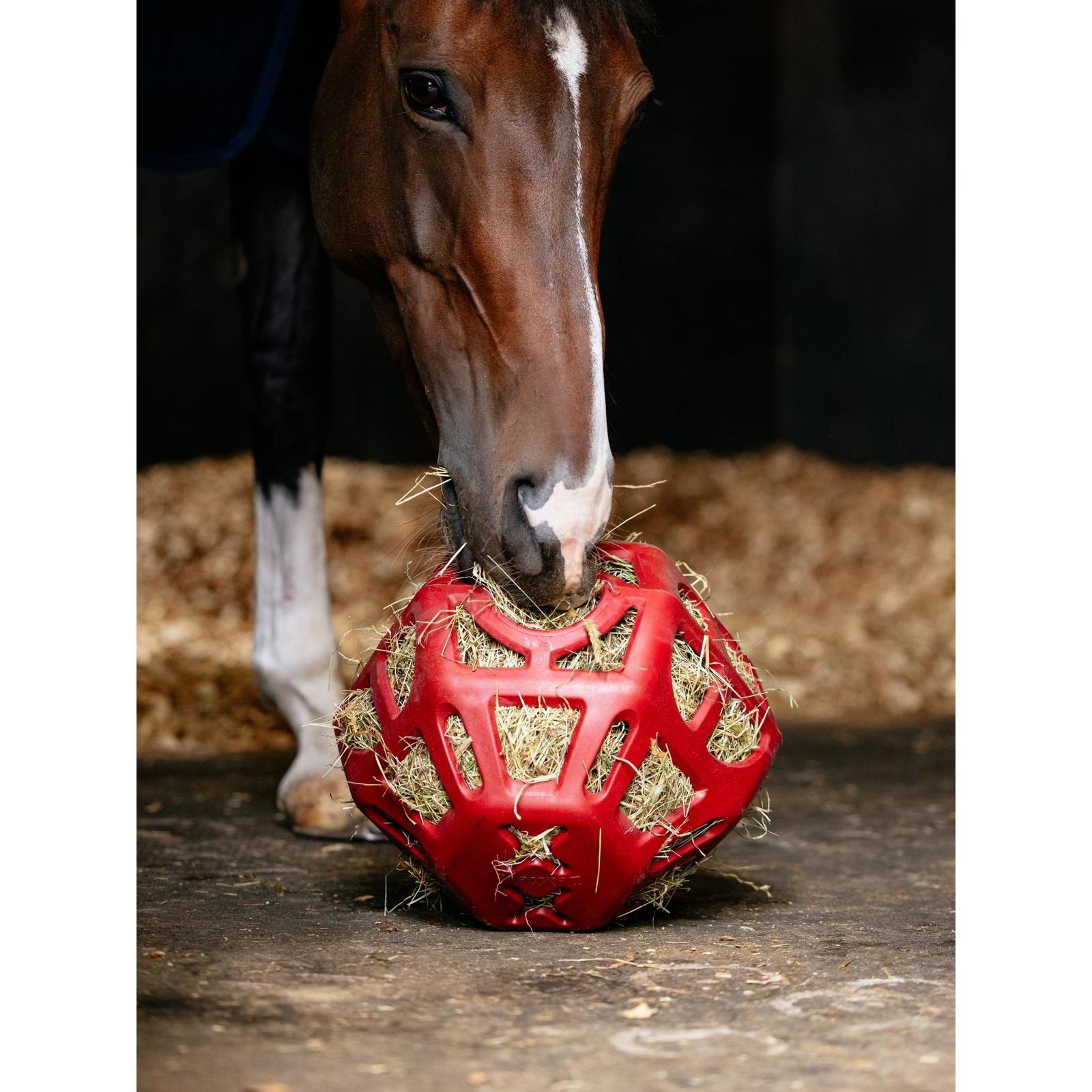 LeMieux Hay Ball Chilli
