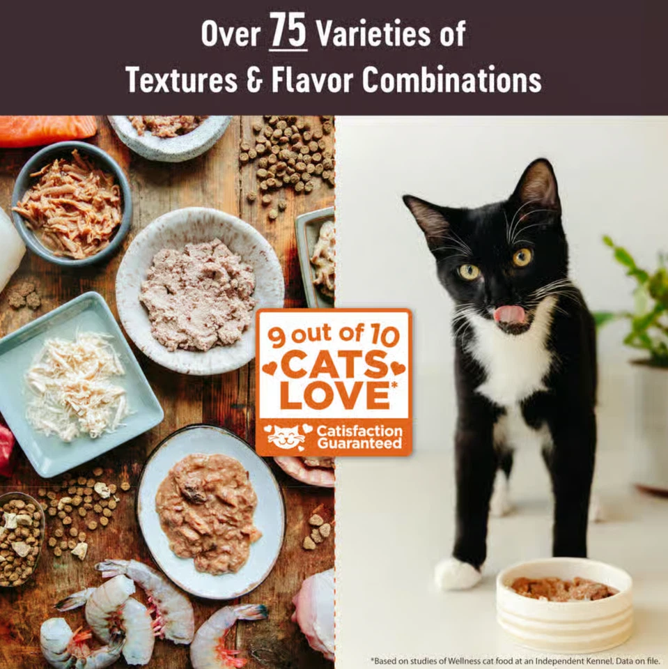 Wellness CORE Signature Selects Natural Sin Granos Grueso Pollo y Salmón Canne Foto 3 de 4