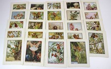 24 Flower Fairy of Trees Colour Prints Cicely Mary Barker Fairies c1930 Flowers