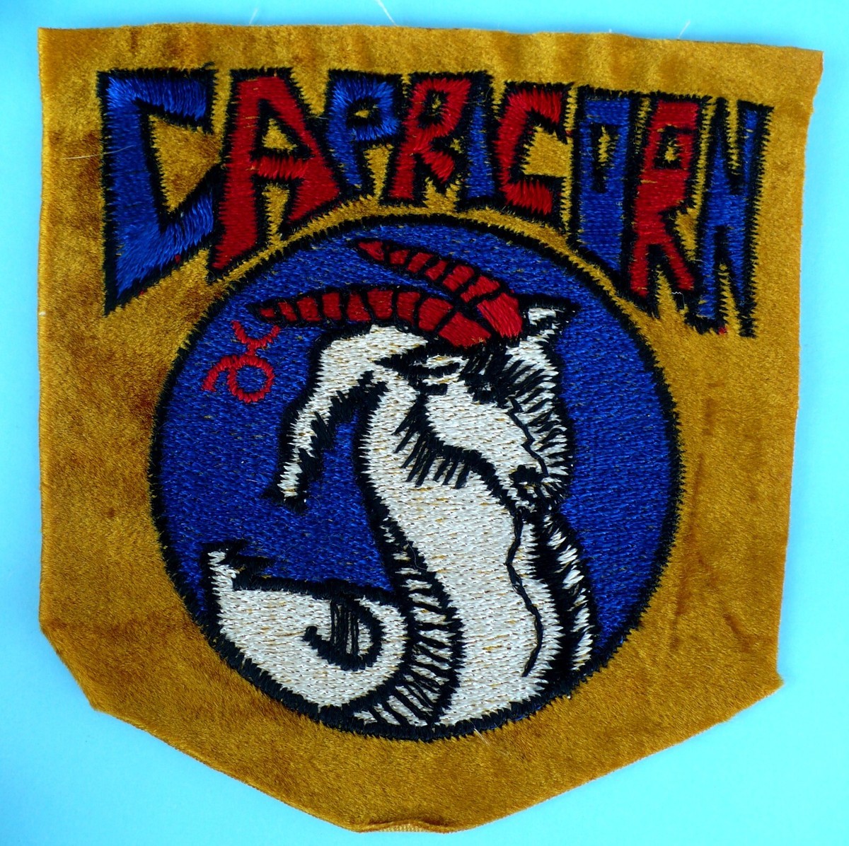 Pocket Zodiac - CAPRICORNE (Capricorn) – Mini Astrology Token Or Charm - View #5