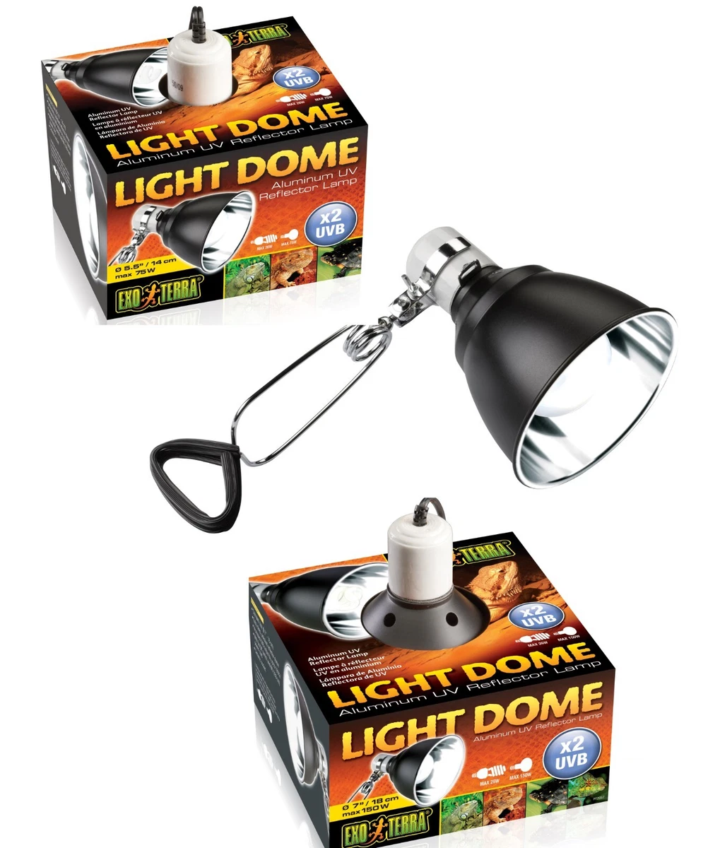 Exo terra bulb cheap