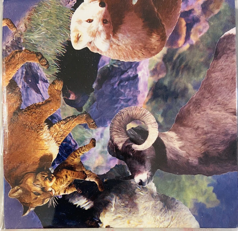 Rompecabezas Scramble Squares vida silvestre de las Montañas Rocosas Foto 2 de 3