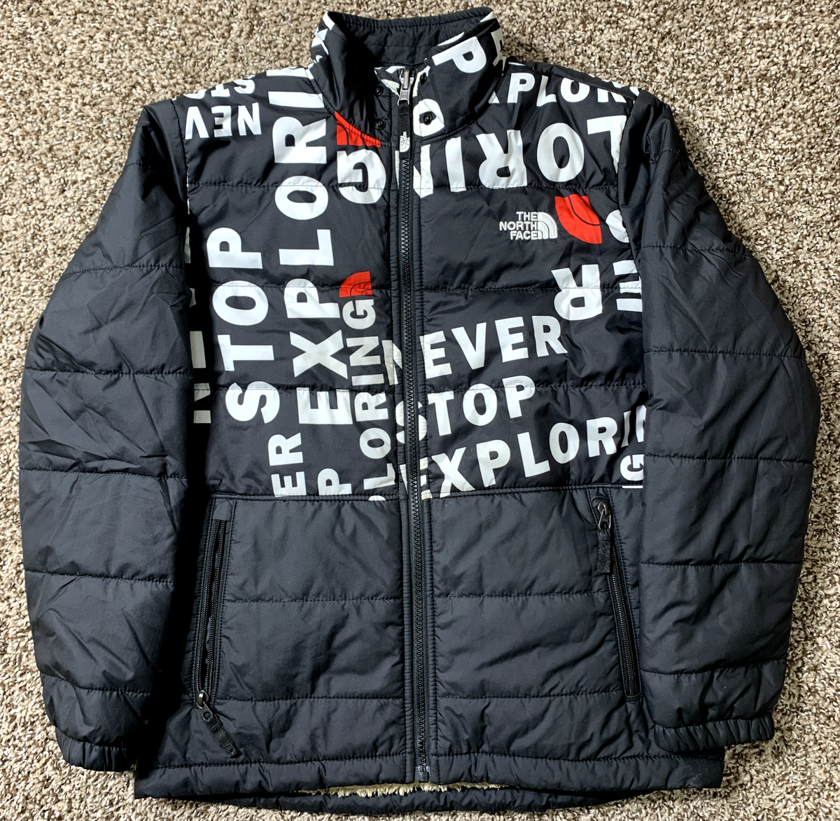 THE NORTH FACE DOWN COAT サイズL THE NORTH FACE ダウンコート ダウンジャケット 国内未発売 FACE