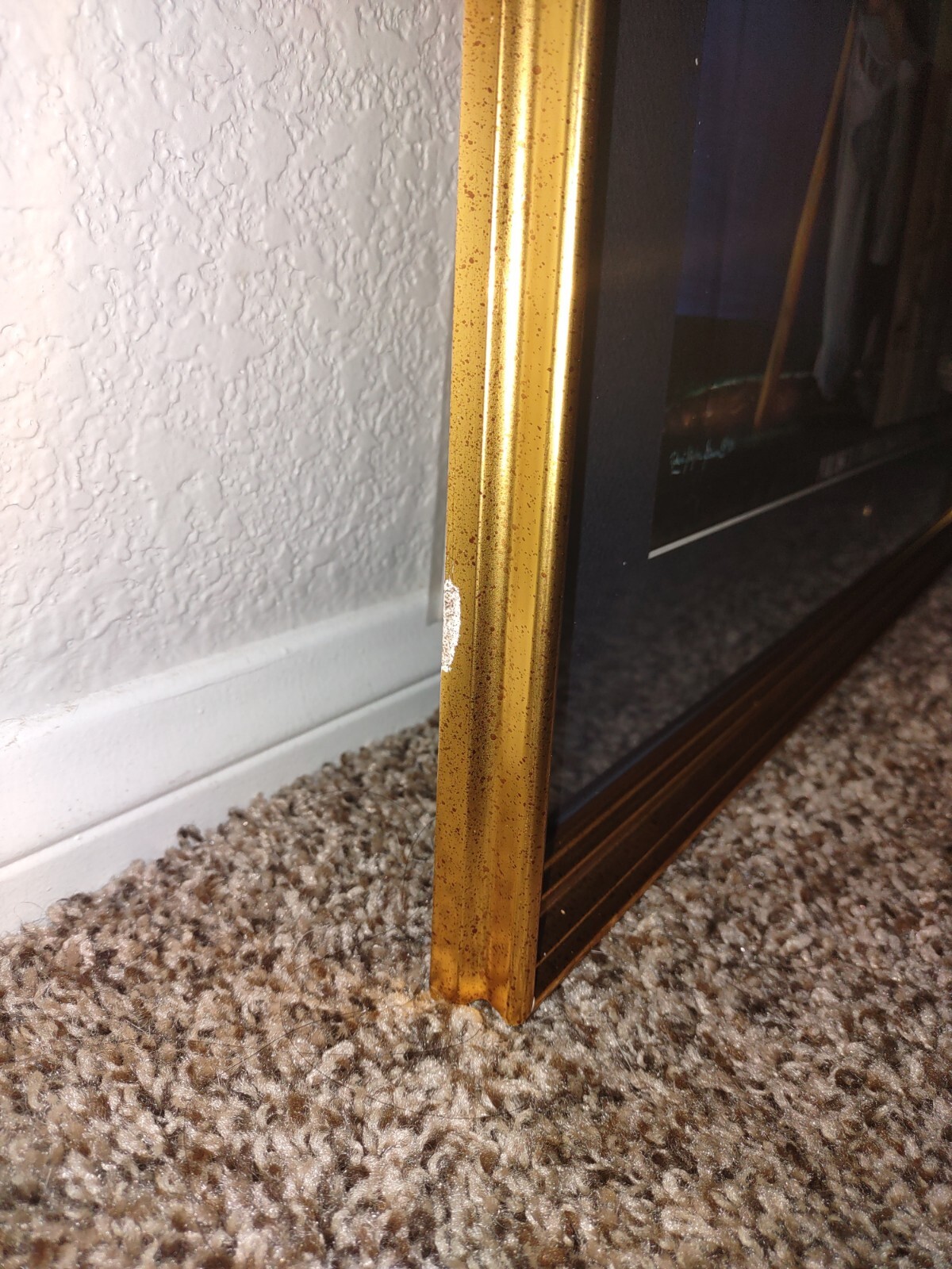 Picture 6 of 18