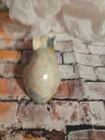 Picture 3 of 6