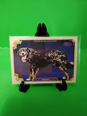 E8 2024 Topps Allen & Ginter Stars of the Show #SOS-4 Truant