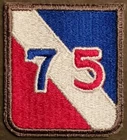 U.S. ARMY RESERVE 75th INFANTRY DIVISION (75th ID)  COLOR DRESS VTG MILITARY WW2