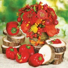 Two Individual Decoupage Paper Lunch 3-Ply Napkins Wood Pepper Vegetable New