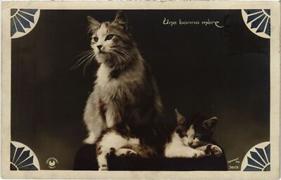 CPA une bonne mere CATS (1340862)