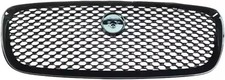 Jaguar F-Pace 16- Radiator Grille Gloss Black Mesh/Black Surround
