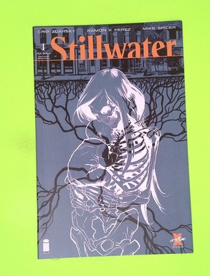 Stillwater #1 - 2nd print 2020 Skybound Variant High Grade Comic Book W25-13