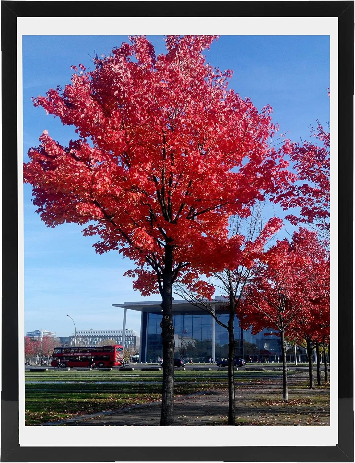 Conjunto de marco negro de la naturaleza Marcos de Fotos