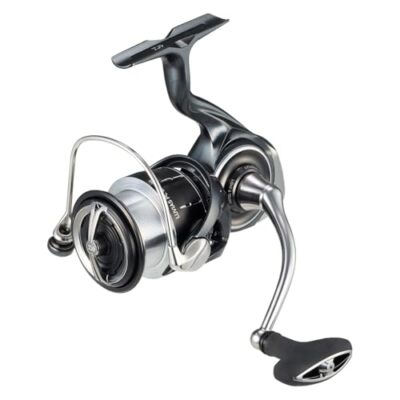 Daiwa 24 LUVIAS PC LT3000 Power Custom LT-3000 Spinning Reel | eBay