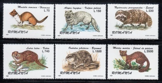 ROMANIA Ermine, Arctic Fox, Raccoon, Otter, Muskrat & Pine Marten MNH set - Image 1 of 1