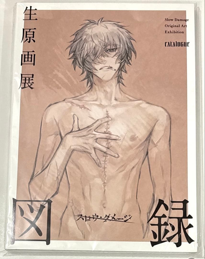 Slow Damage Original Art Exhibition Catalog Book Nitro Chiral 2024 Japan