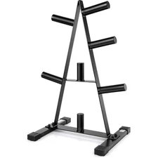 Olympic Steel Plate Rack 2-Inch Capacity Compact Storage for Gym