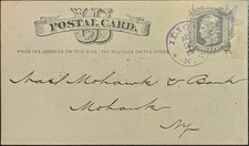 Ilion New York Fancy Violet CDS Star Cancel On Postal Card 1878 Herkimer Tp