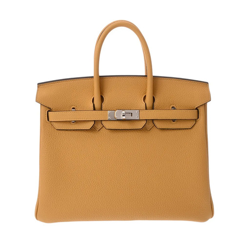 Hermes Birkin 25 Handbag Togo Leather Silver #WB3919