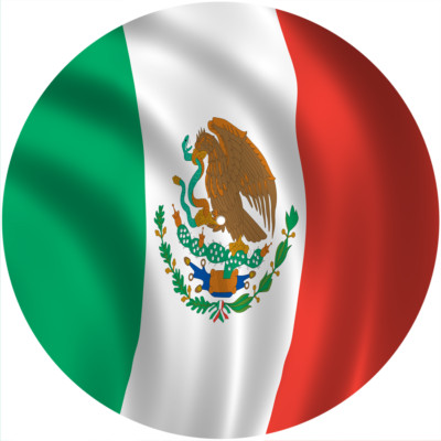 Slipmat Slip Mat Felt for any 12'' Turntable LP DJ Record Deck Player FLAG MEXICO