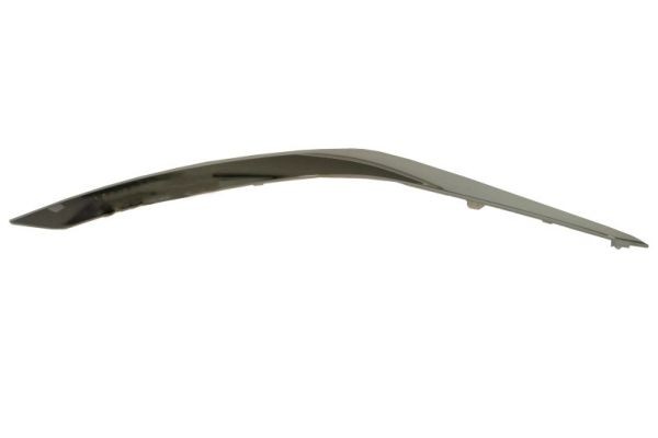 Left Front BLIC 5703-05-1621921P Trim/Protection Strip, bumper