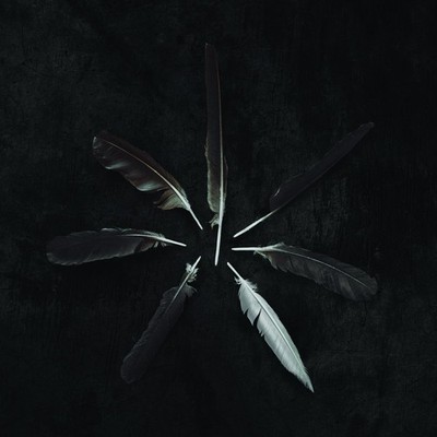 Caspian - Dust And Disquiet - Vinyl - New