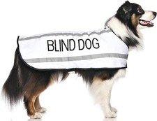 BLIND DOG (Dog Has Limited/No Sight) White Colour Coded S M L Reflective