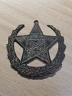 1902 United Confederate Veteran’s UCV Reunion Badge - Dallas, TX