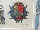 Foto 8 di 12