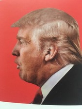 Ride With Trump For Left Hand Driven Vehicles