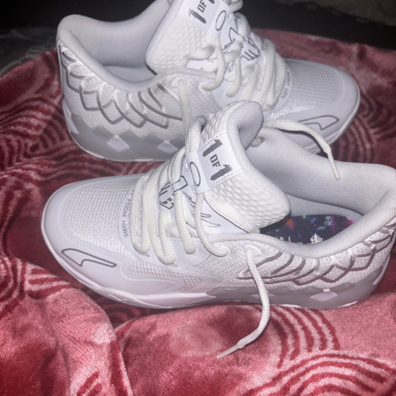 Lamelo puma - image 3