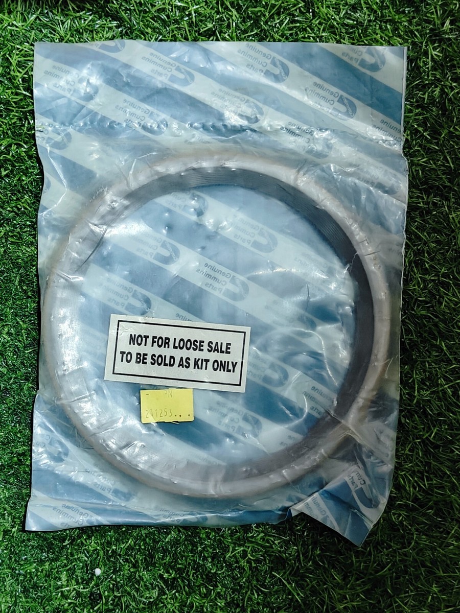 Chihi♡ Cummins Seal 211253 also 3006737, 4346552, 204829 For N14, NT855