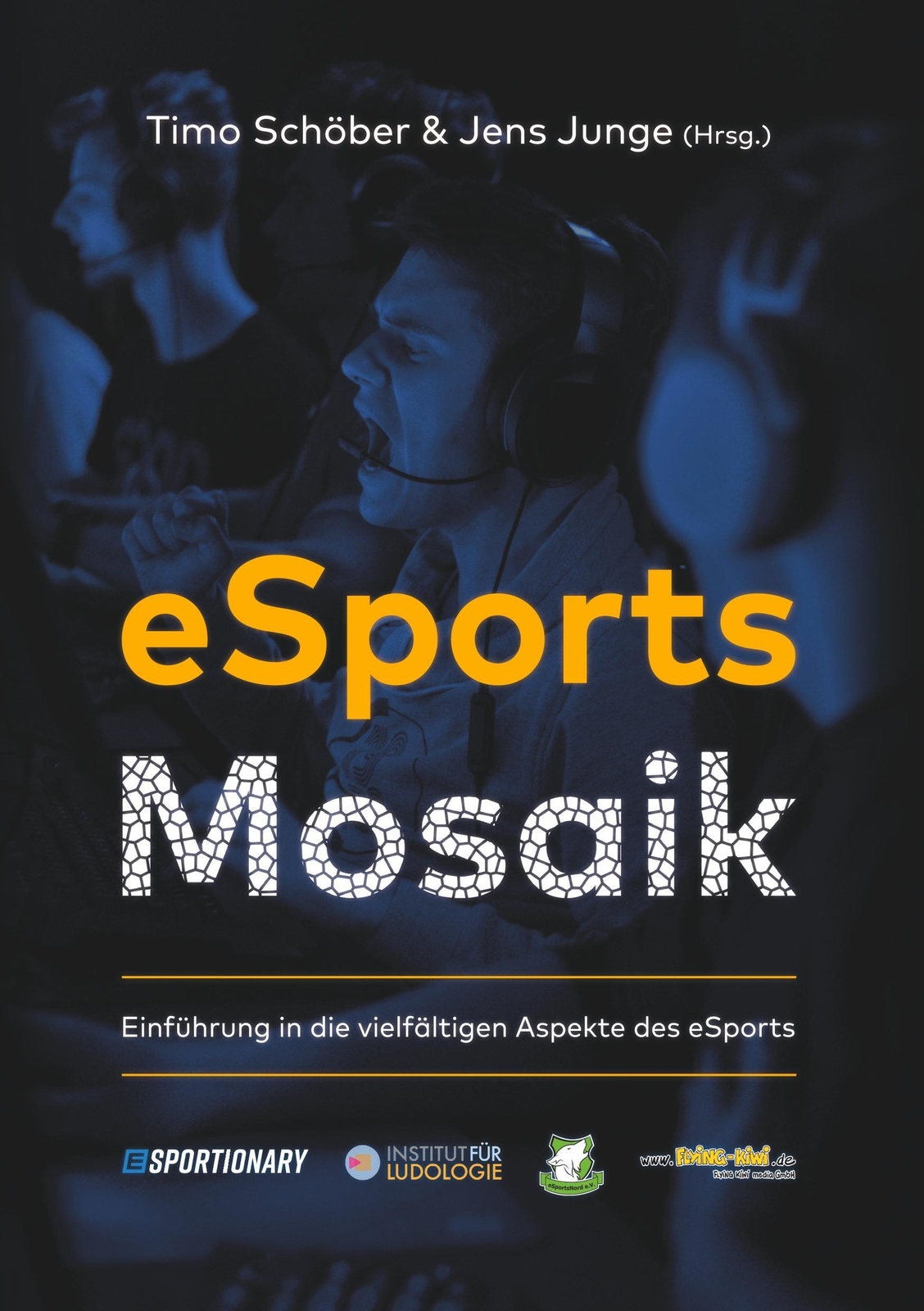 Thumbnail - Esports Mosaik Einführung In Die Vielfältigen Aspekte Des Esports Timo