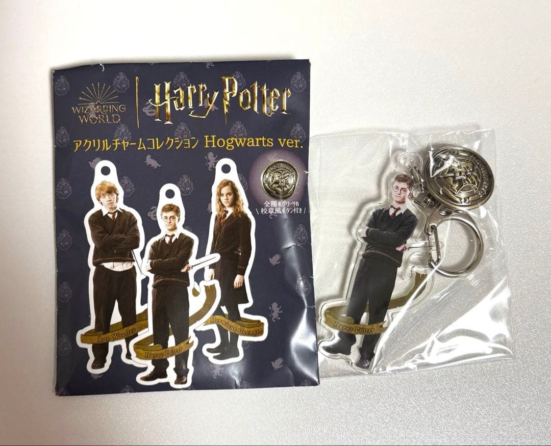 Harry Potter Acrylic Charm Collection