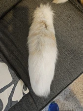 Absolutely GORGEOUS Golden Island & Marble Mix Fox Tail 
