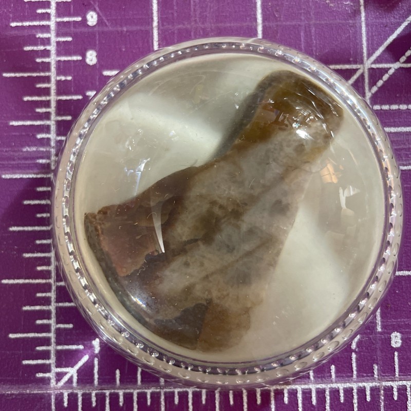 VINTAGE — ARIZONA PETRIFIED WOOD PAPERWEIGHT