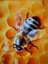 jewelrybee3