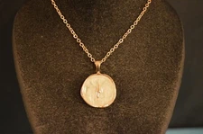 "SAND DOLLAR" CHARM PENDANT NECKLACE New!  U.S.A. SALE! Quality Fashion Jewelry 