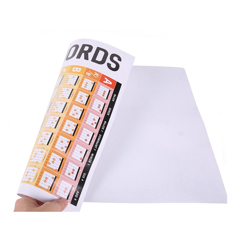 Guitar Chord Circle Scale Learning Poster Progressions Acoustic