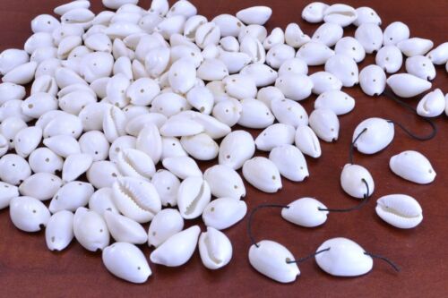 250+ PCS DRILLED TWO HOLE WHITE RING TOP COWRIE COWRY SEA SHELL BEADS 1 LB #7657 - Picture 1 of 1