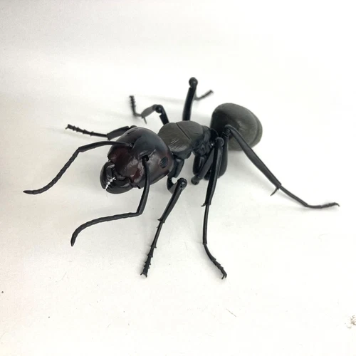 【Used】 Bandai Gashapon Ant Action Figure 02 Japanese Carpenter Ant 10cm Japan